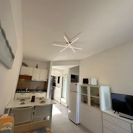 Bright In Close To The Sea