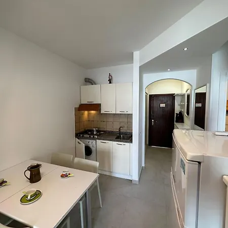 Bright In Close To The Sea